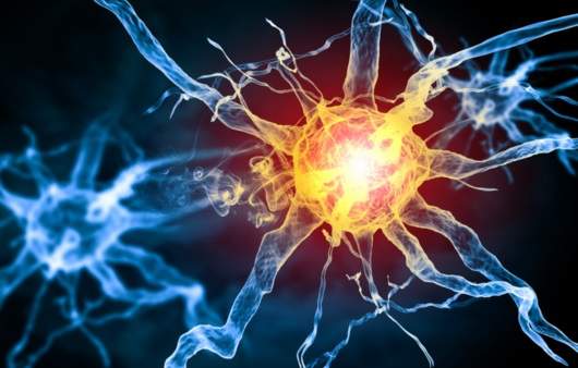 말초동맥 질환 증상