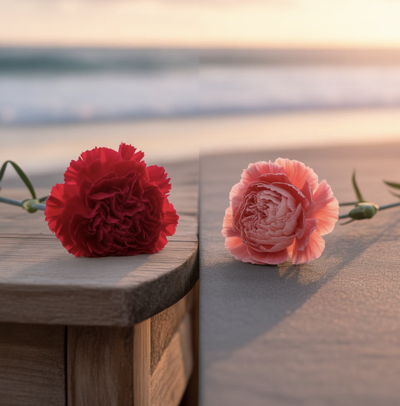 '바닷가 패랭이', 이름의 비밀