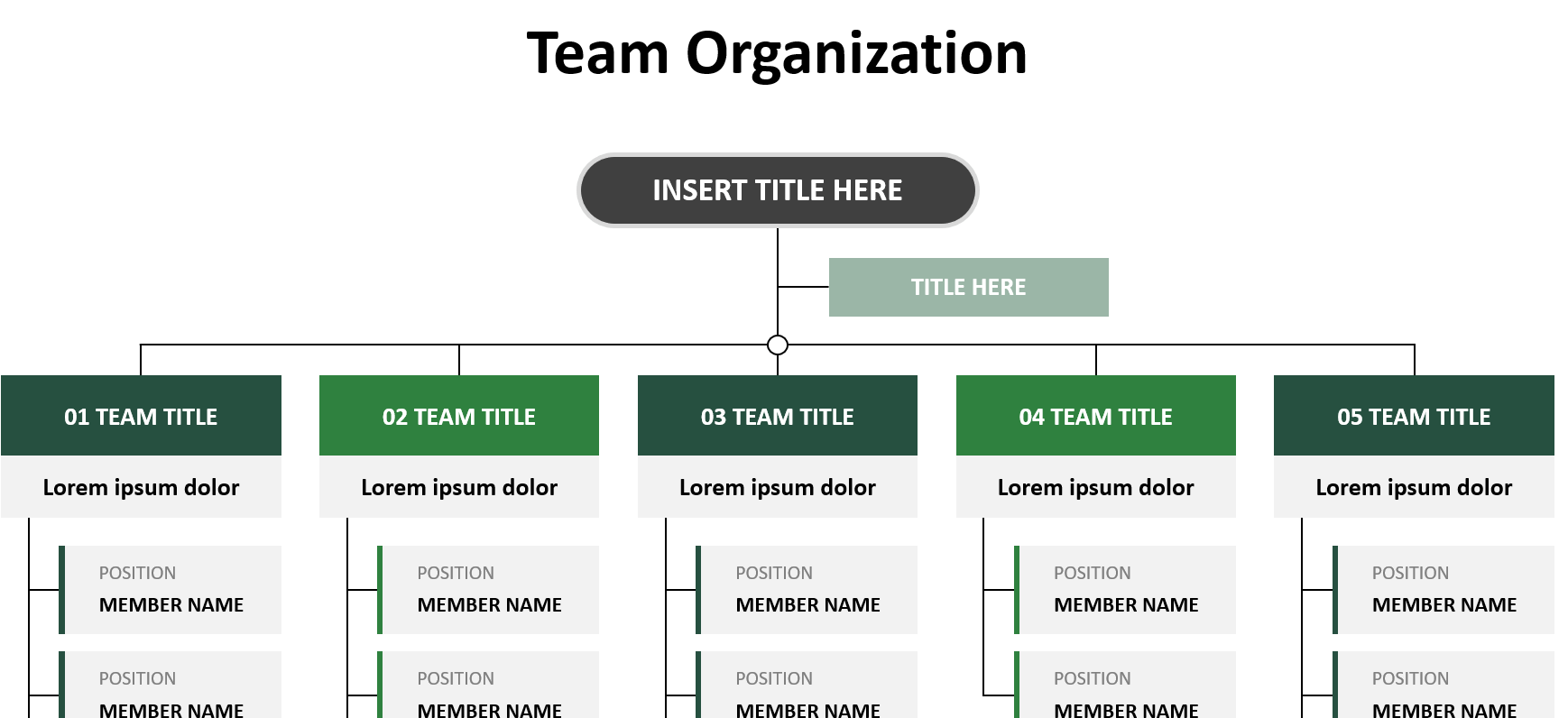 조직도-영어-서식-이미지