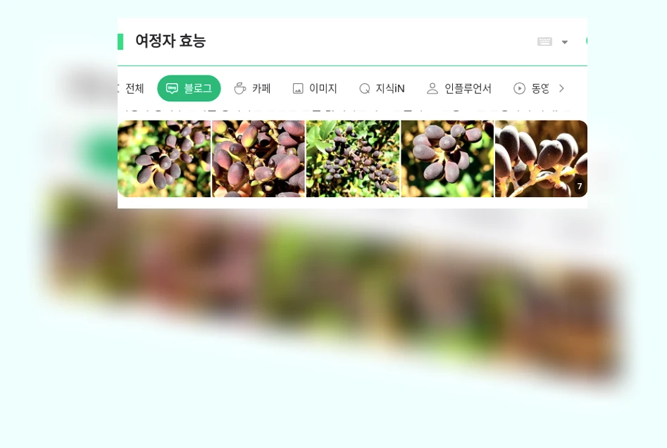 여정자 효능_1_subsection