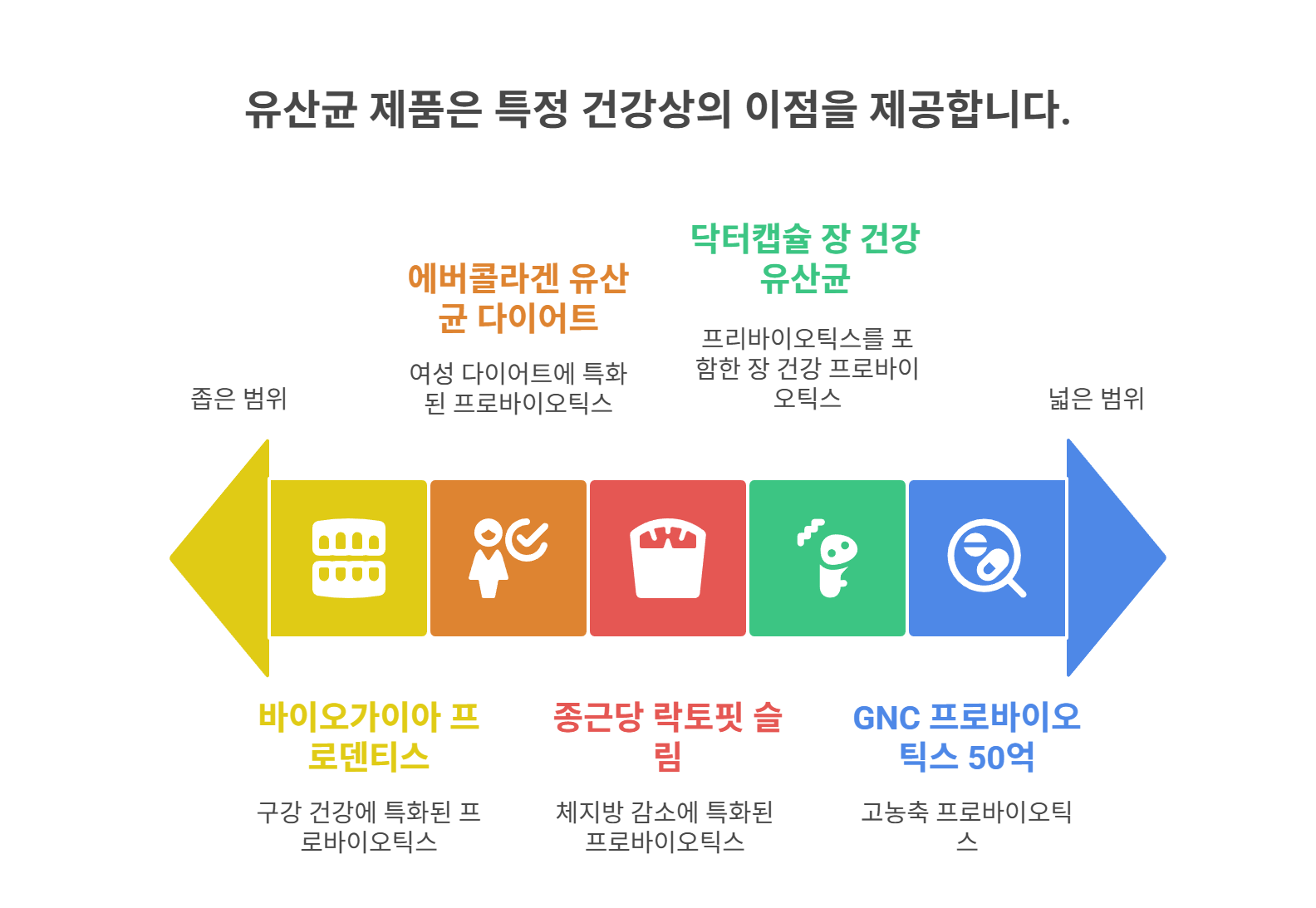 장내균형 돕는 유산균 추천 리스트