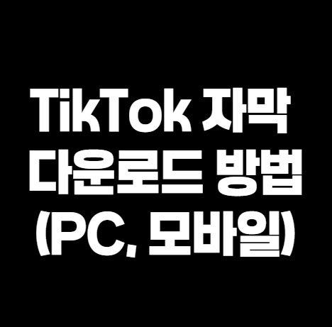 틱톡 자막 다운로드 썸네일