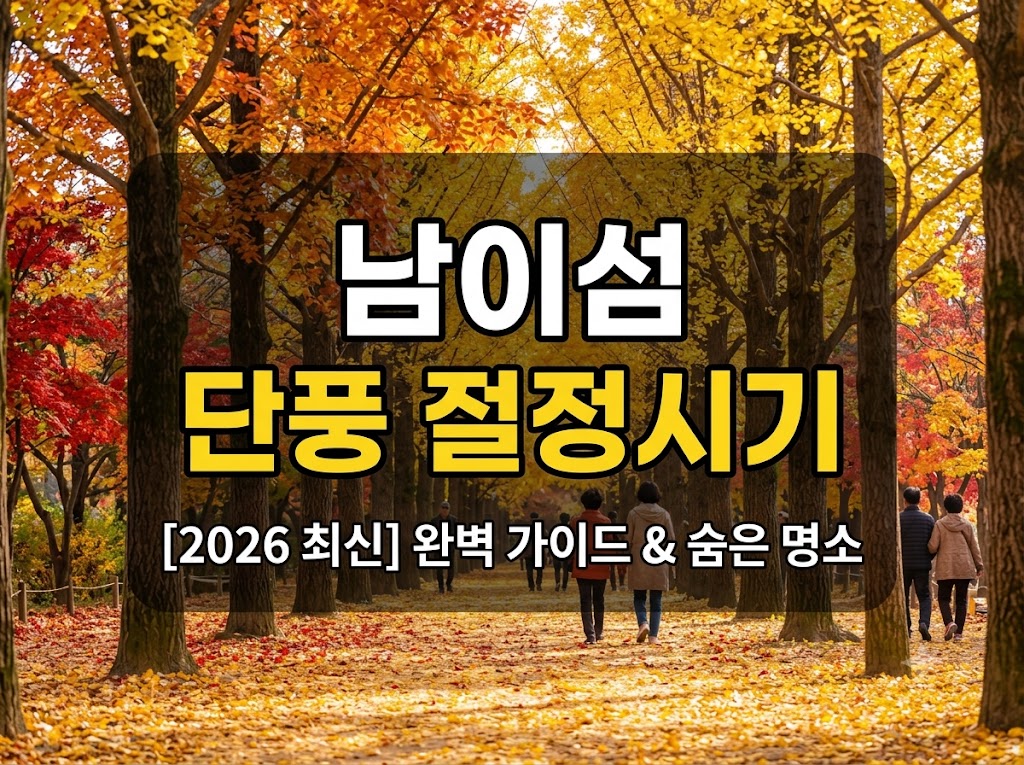 남이섬 단풍 절정시기