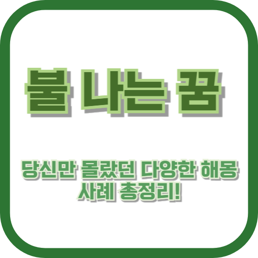 불 나는 꿈, 당신만 몰랐던 다양한 해몽 사례 총정리!