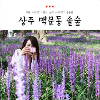 상주 가볼만한곳 맛집 추천 카페 겨울 베스트 10_15
