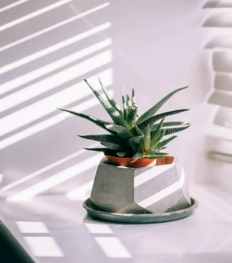 공기청정기 필터 교체 방법 &amp;#124; 필수 체크리스트와 교체 주기까지 정리