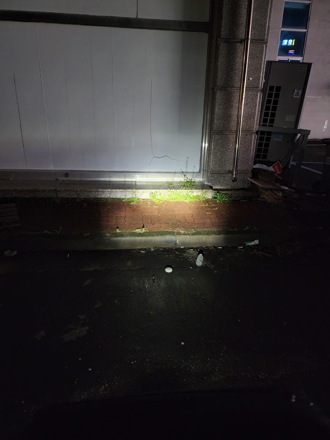 전기자전거 라이트를 켜고 찍은 야간 거리 모습. 전방 시야 확보가 뛰어나 배달 시 안전성을 높여줌.