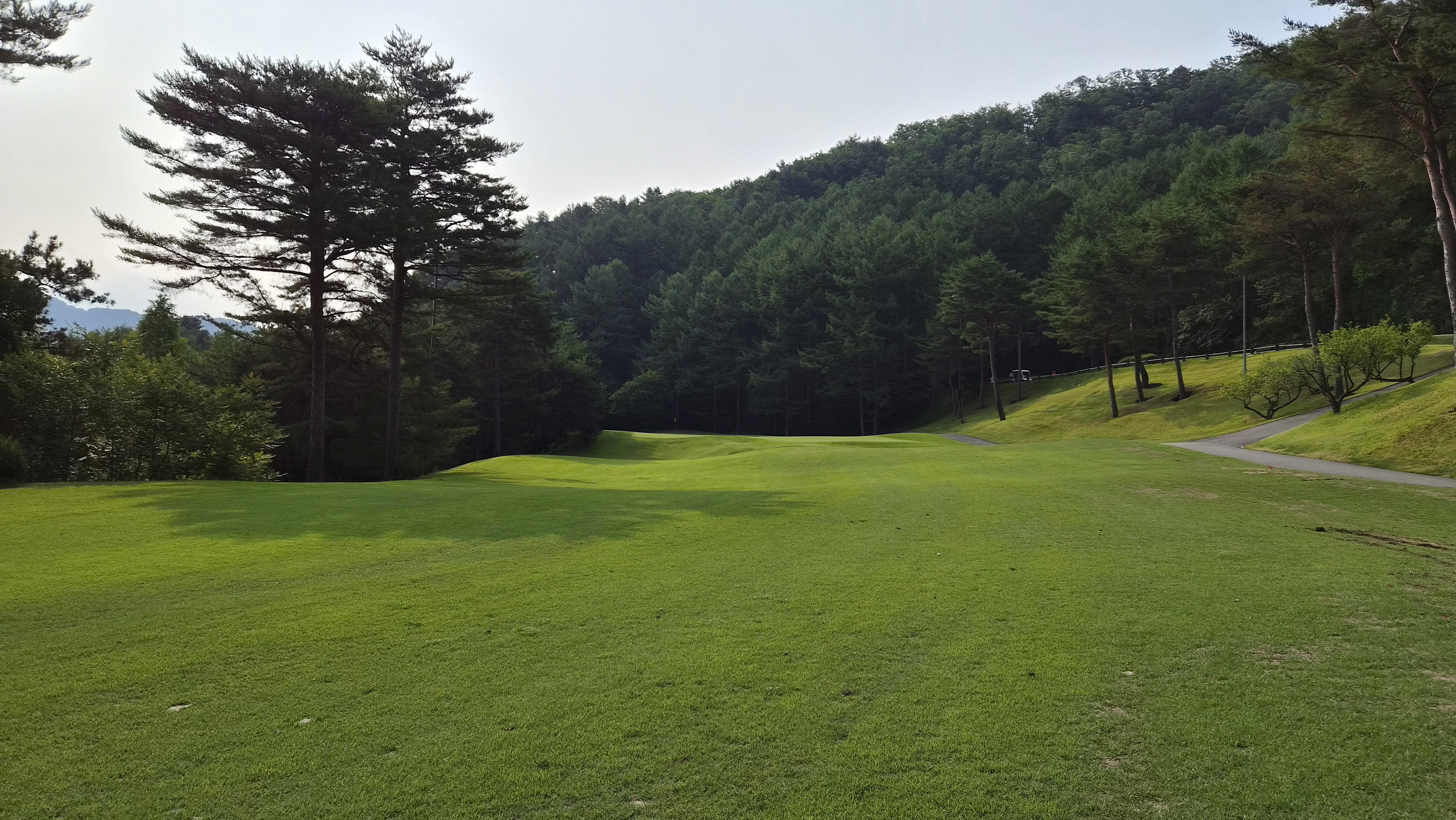 크리스탈밸리cc 코스 사진 및 공략 정보