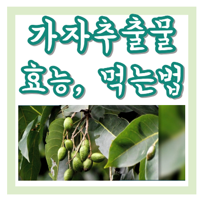 가자추출물