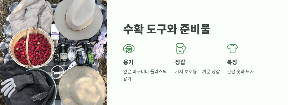 산딸기 수확시기 베스트 타이밍 5