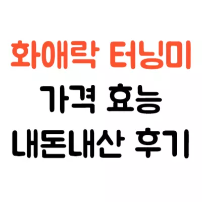 정관장 화애락 터닝미 가격 효능 내돈내산 후기 정리