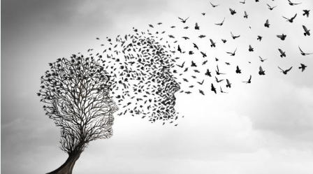 집에서 사망시 절차1