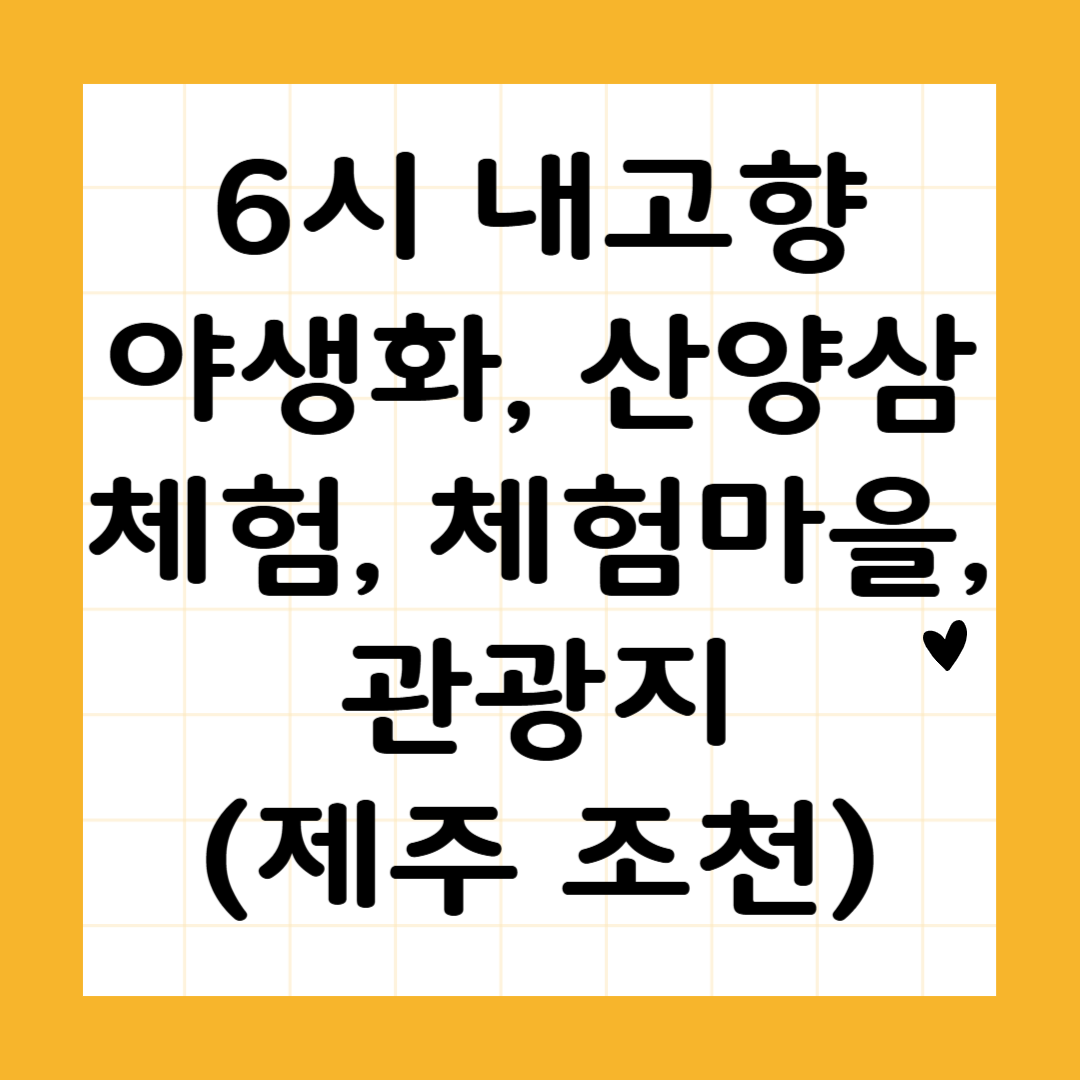 6시 내고향 야생화, 산양삼 체험, 체험마을, 관광지 (제주 조천)