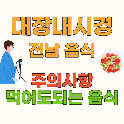 대장내시경 전날 음식 주의사항 먹어도 되는 음식