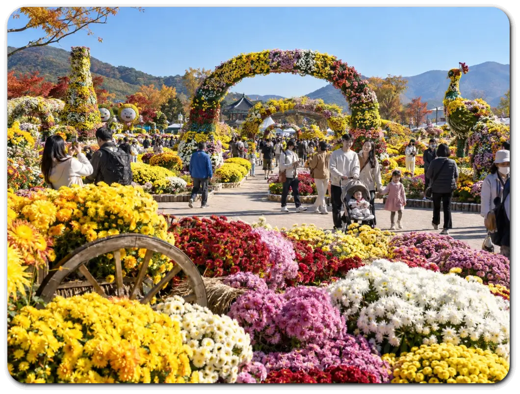 Chrysanthemum-Festival-masan