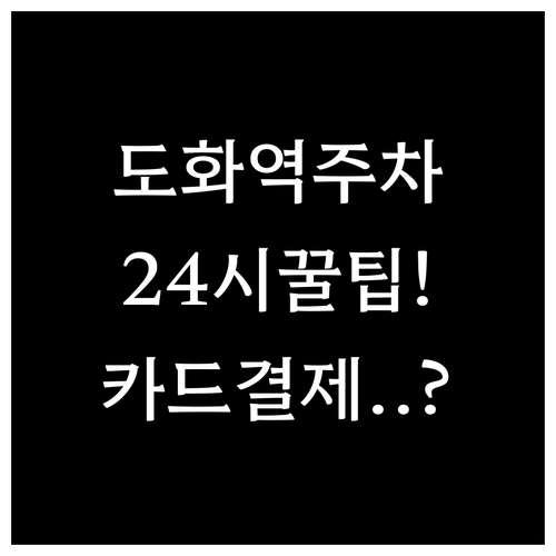 도화역 북측 공영주차장 이용 시간과 ..