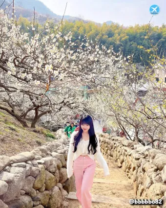 2025년 상반기 전국 봄꽃 임산물 축제 일정 예매_9