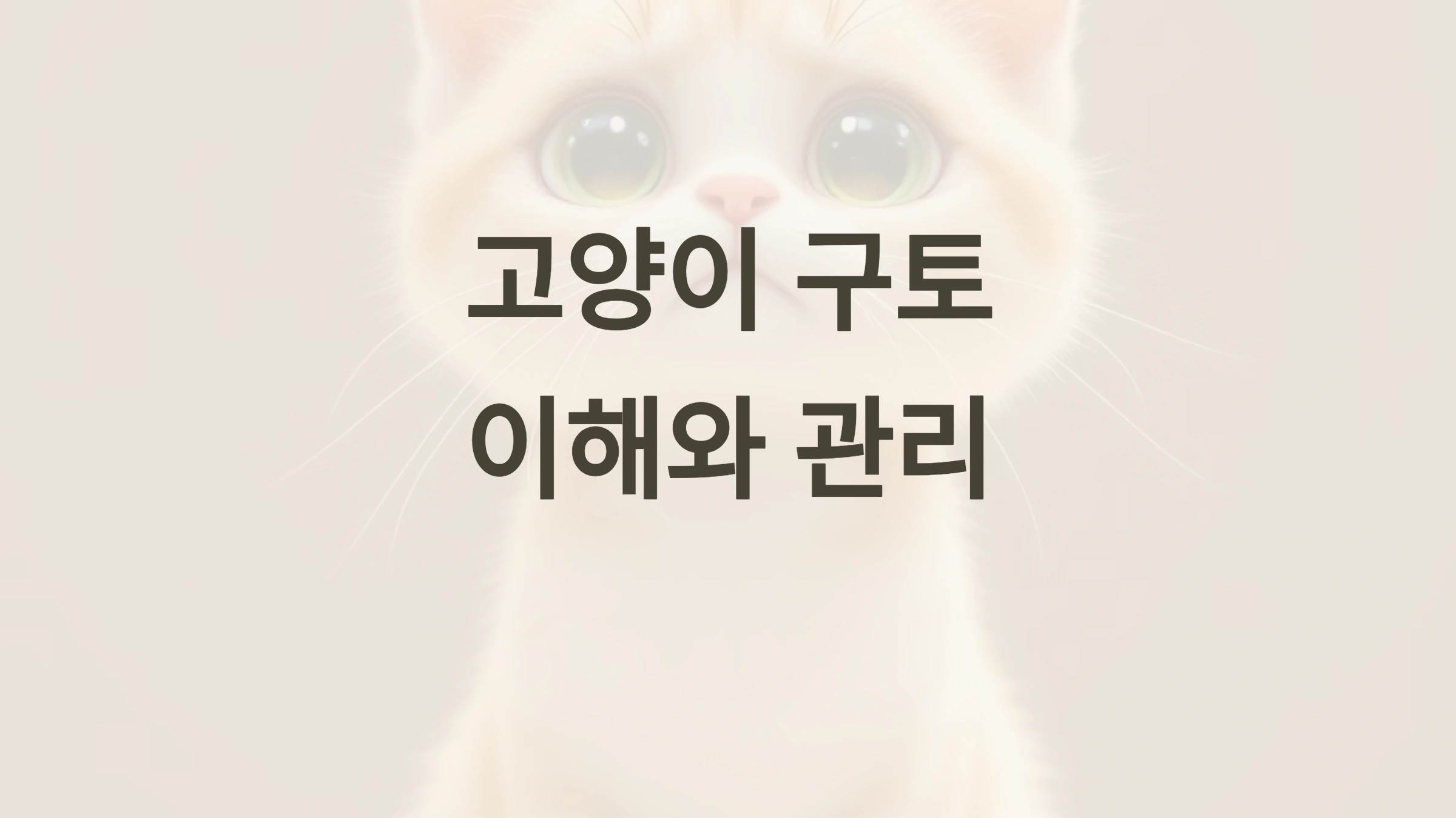 🐱 고양이가 구토하는 이유와 해결 방법