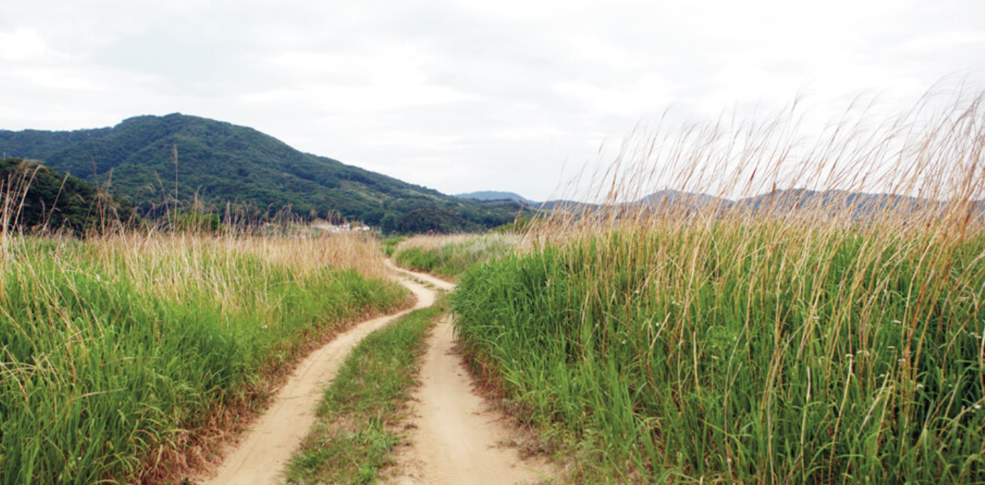 충주 가볼만한곳 베스트10