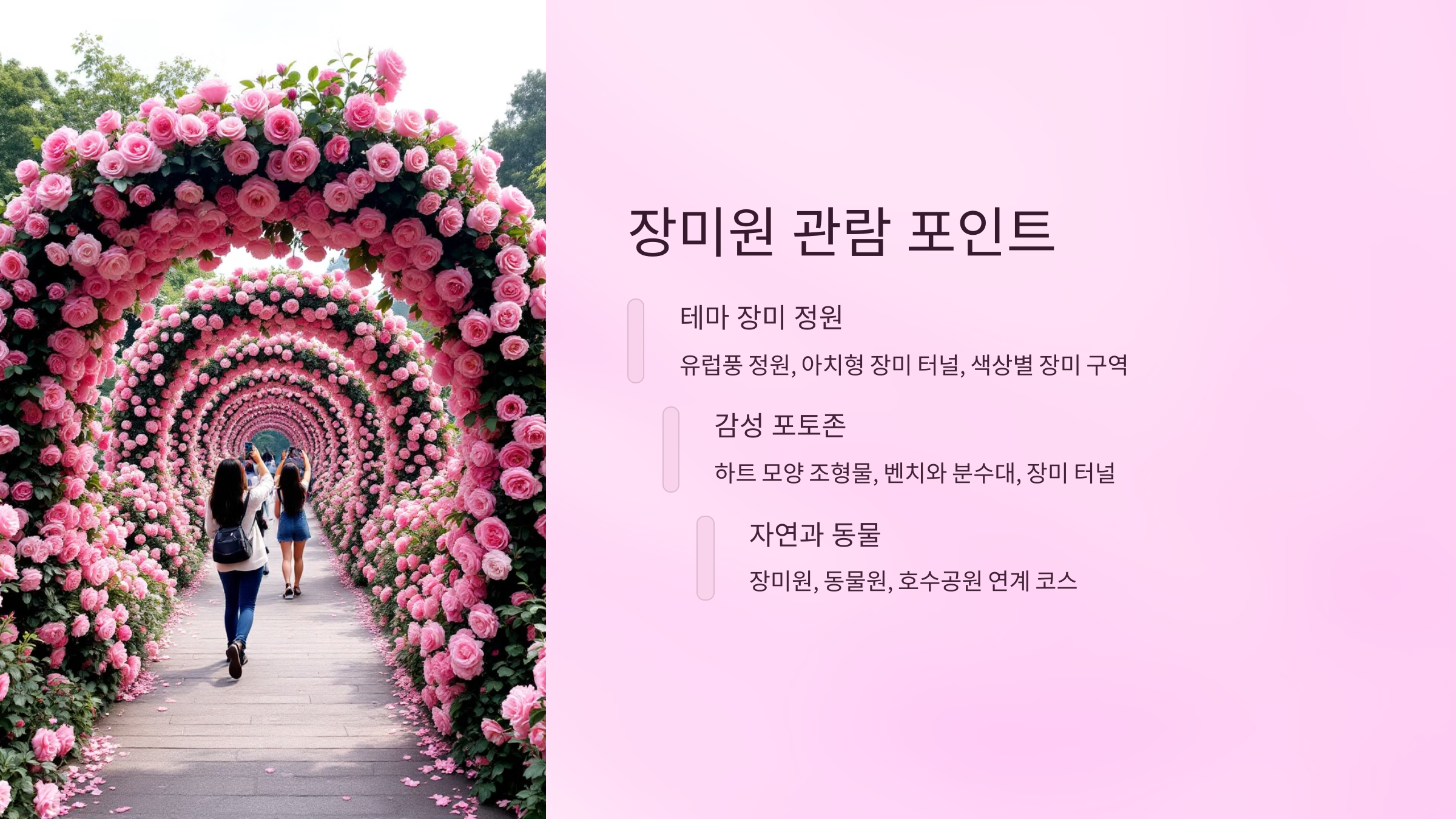 🌹2025년 5월, 과천 서울대공원 장미원으로 떠나는 봄꽃 여행🌹