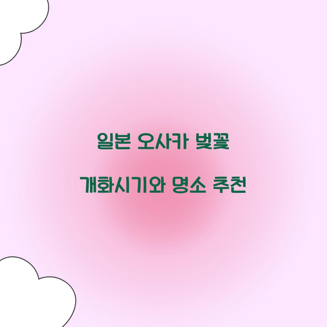 일본 오사카 벚꽃 개화시기