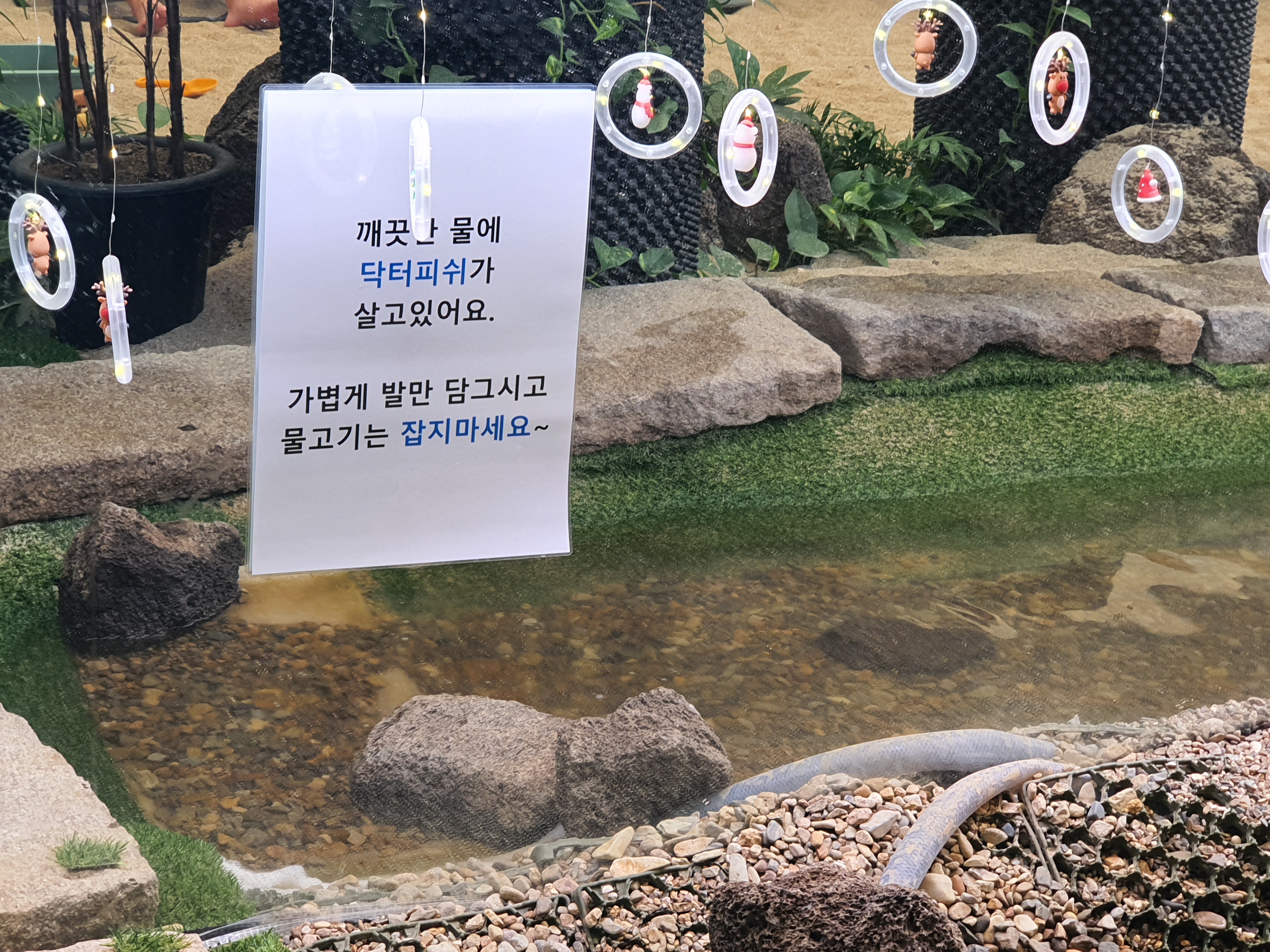 티욤핑크