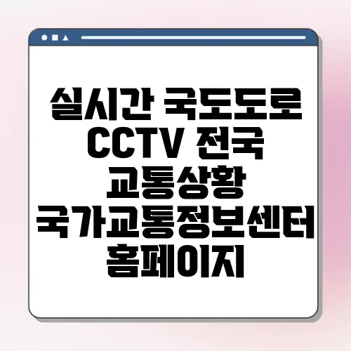 실시간 국도도로 CCTV 전국 교통상황 국가교통정보센터 홈페이지