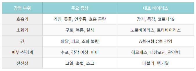 바이러스 감염부위별 증상표