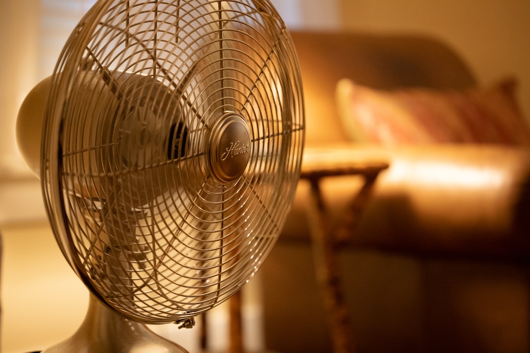 Fan