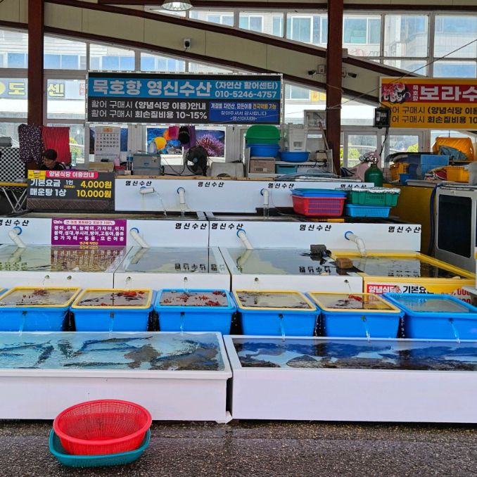묵호항