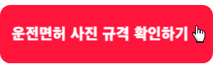 운전면허-사진규격-확인