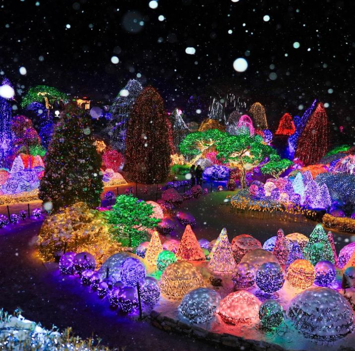 오색별빛정원전6