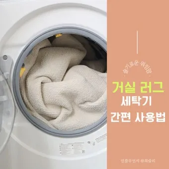 러그 세탁 드라이클리닝 표지 확인과 국소세척 요령_5