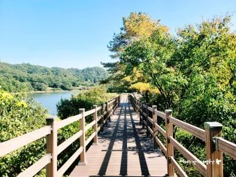 옥천 가볼만한곳 베스트10 현지인 추천 필수코스_12