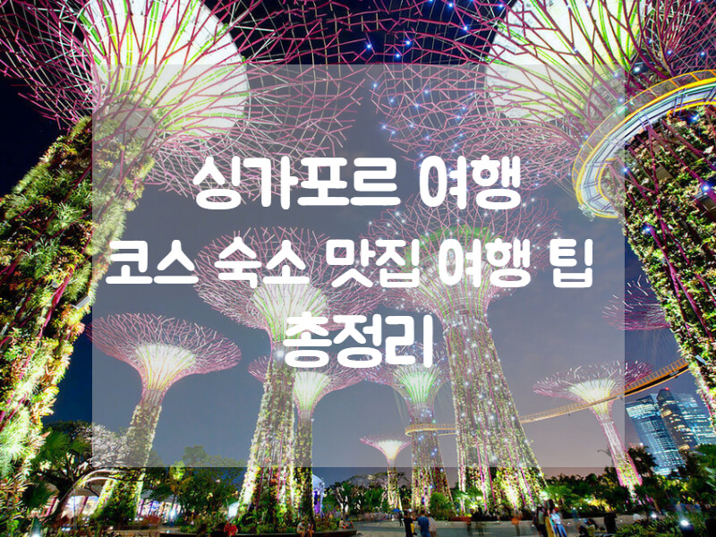 싱가포르 여행 필수템 여행 코스 숙소 맛집 관광지 예약방법
