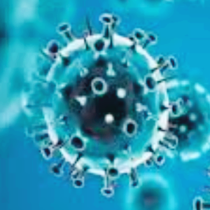 전염병 관련주 대장주 테마주 수혜주 TOP5