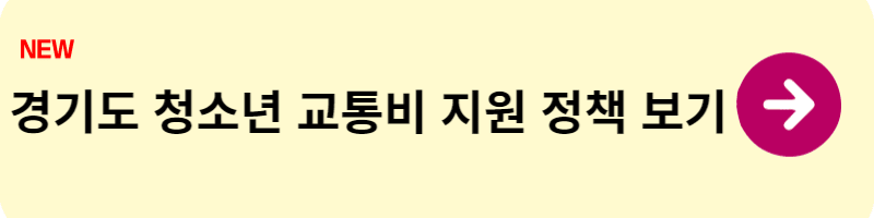 경기도 청소년 교통비