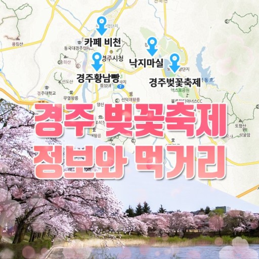 경주벚꽃축제사진