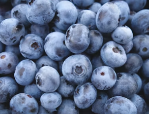 파킨슨병에 좋은 음식 영양제 식단