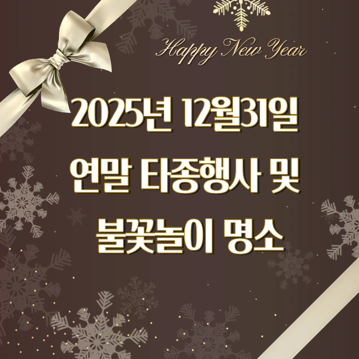 2025년 12월31일 연말 타종행사 및 불꽃놀이 명소