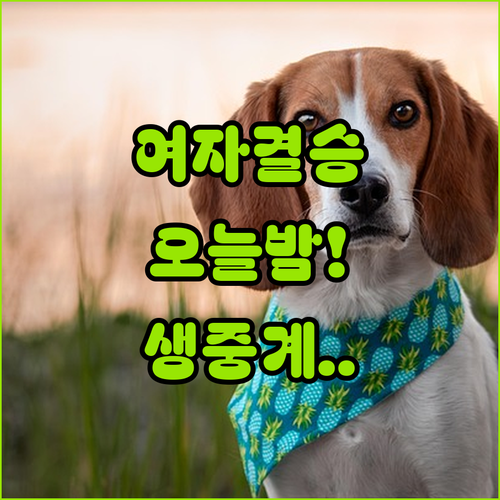 쇼트트랙 여자 1000m 결승 중계 ..