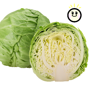 신장에 좋은 음식