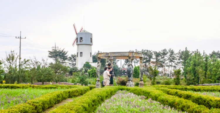 팜카밀레 허브농원