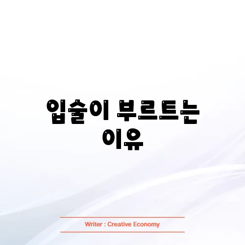 입술이 부르트는 이유