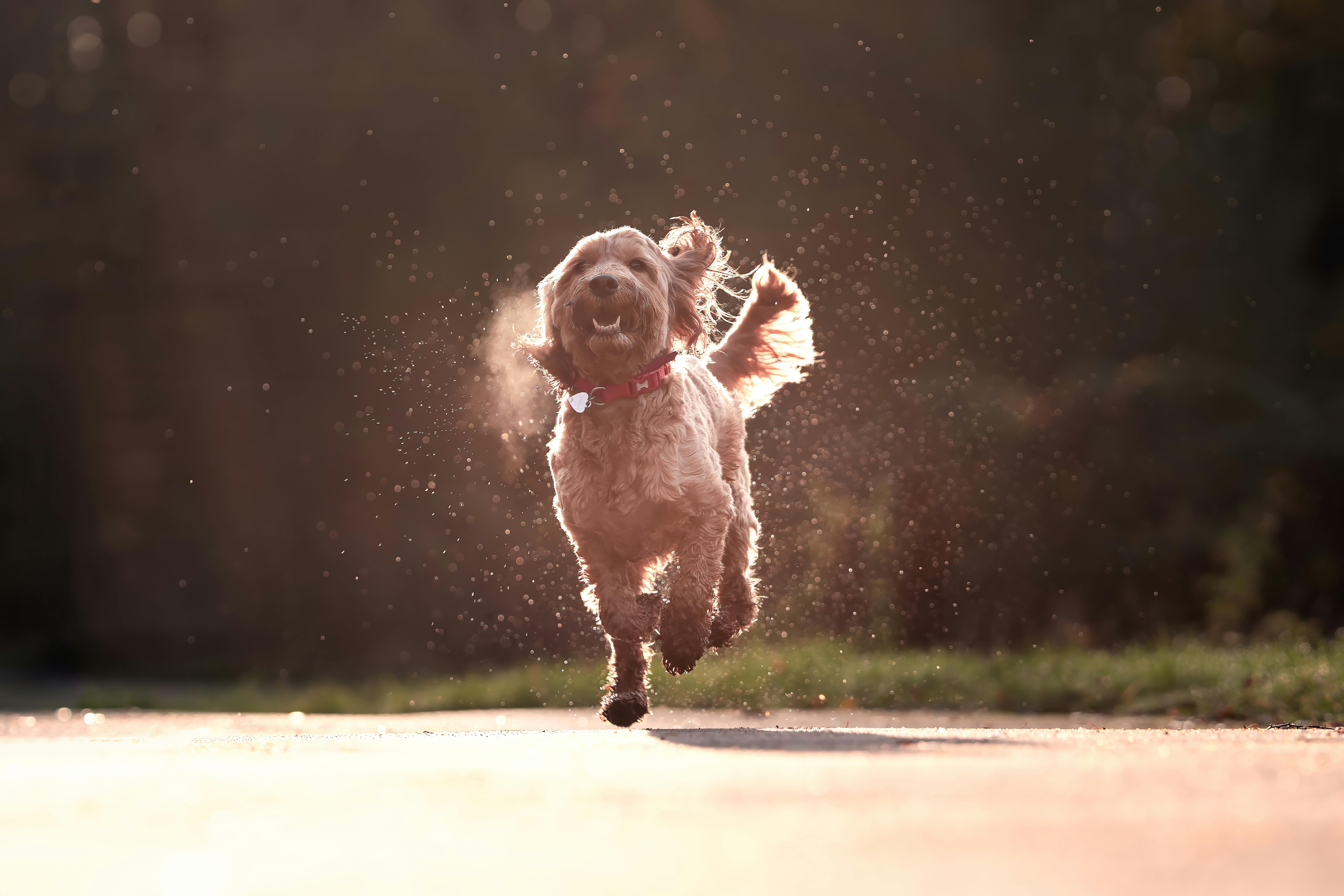 기저귀를 먹고 행복한을 상징하는 이미지