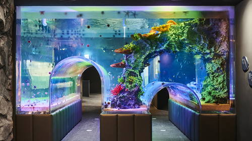 경기도 가볼만한 곳 수원 광교 아쿠아플라넷 터널수조