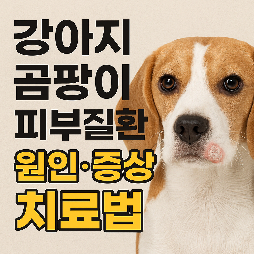 강아지 곰팡이 피부질환