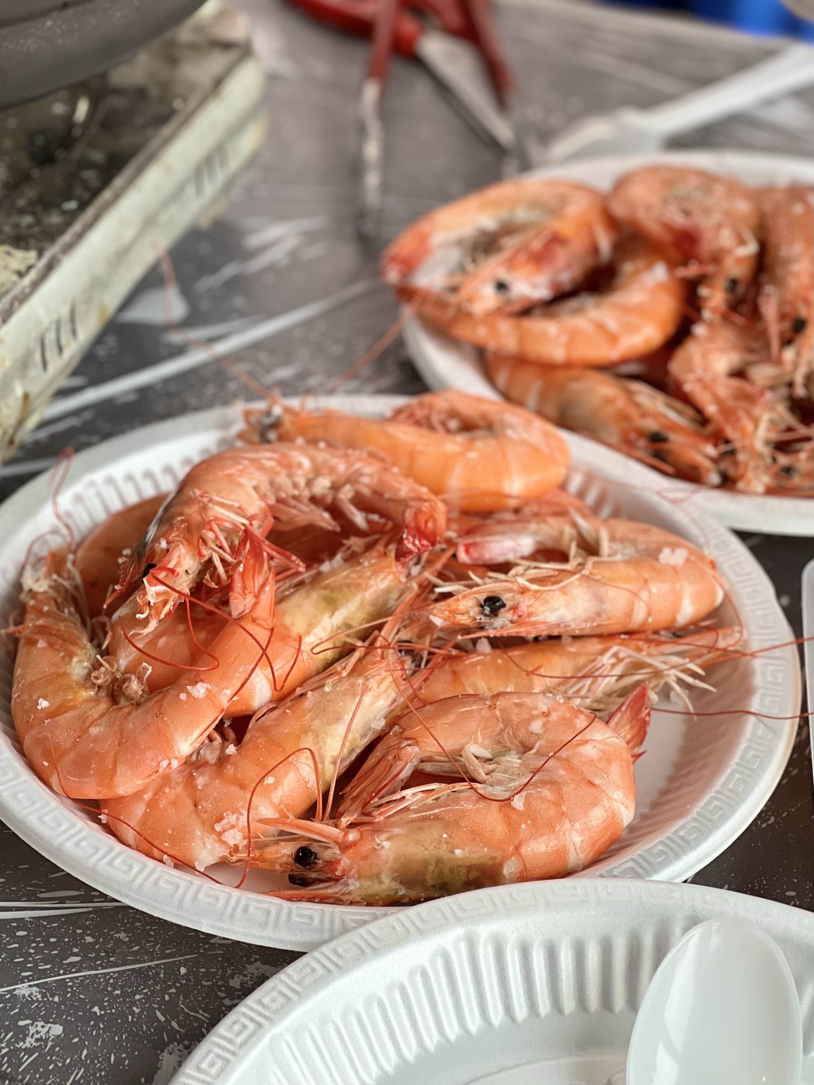 왕새우 소금구이 1kg 가격 약암양식장 가격 인상 약암새우양식장 가격