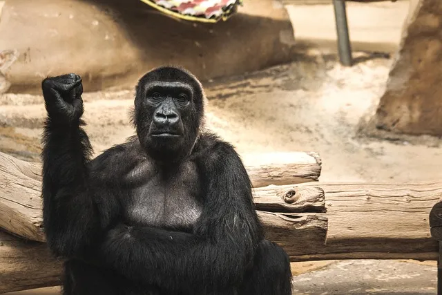 고려 태조 왕건 가계도 고려 왕조 가족 연표_7