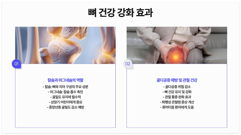 뼈-건강